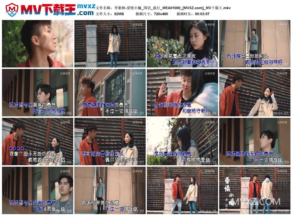 李朋林-爱情小偷_国语_流行_MEA01000